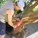 Hirzingalm Arbeiten 02