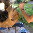 Hirzingalm Arbeiten 12