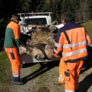 Hirzingalm Bergung 2008 05
