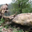Hirzingalm Bergung 2009 05