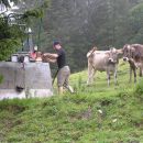 Hirzingalm Bergung 2009 08