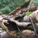 Hirzingalm Bergung 2009 30