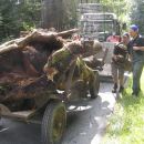 Hirzingalm Bergung 2009 34