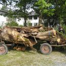 Hirzingalm Bergung 2009 36