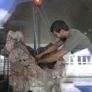 Hirzingalm Turnhalle 16