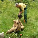 Holzskulpturen 3