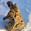 Holzskulpturen 5